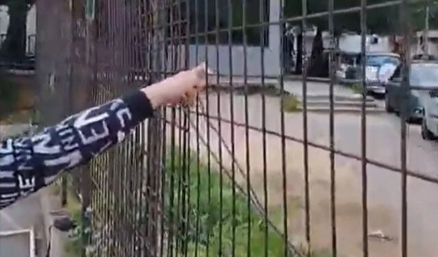 VIDEO Klimava i opasna ograda uz OŠ Antuna Branka Šimića, sanacija se čeka gotovo godinu dana