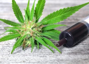 VIDEO Medicinska uporaba kanabisa dopuštena u BiH, ali još daleko od pacijenata