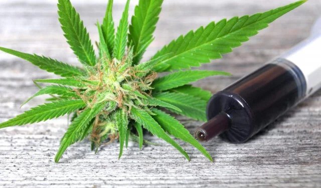 VIDEO Medicinska uporaba kanabisa dopuštena u BiH, ali još daleko od pacijenata