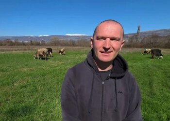 VIDEO Širokobriježanin danju s kravama na Mostarskom Blatu, noću u pekari