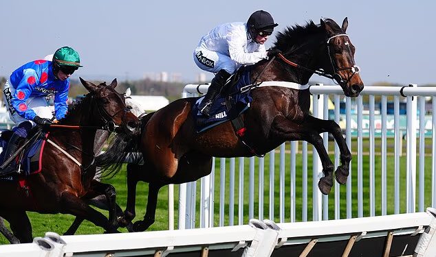 Veliki razvoj festivala u Cheltenhamu jer legendarni trener Nicky Henderson potvrđuje svoju veliku odluku o omiljenom Constitution Hillu obožavatelja