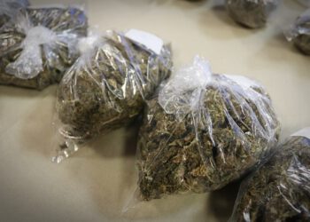 Vozio pod zabranom, odbio testiranje na droge, a kod maloljetne suvozačice policija pronašla marihuanu