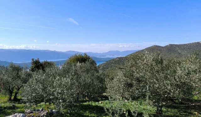 Vremenska prognoza za Mostar i Hercegovinu – 26.02.2026