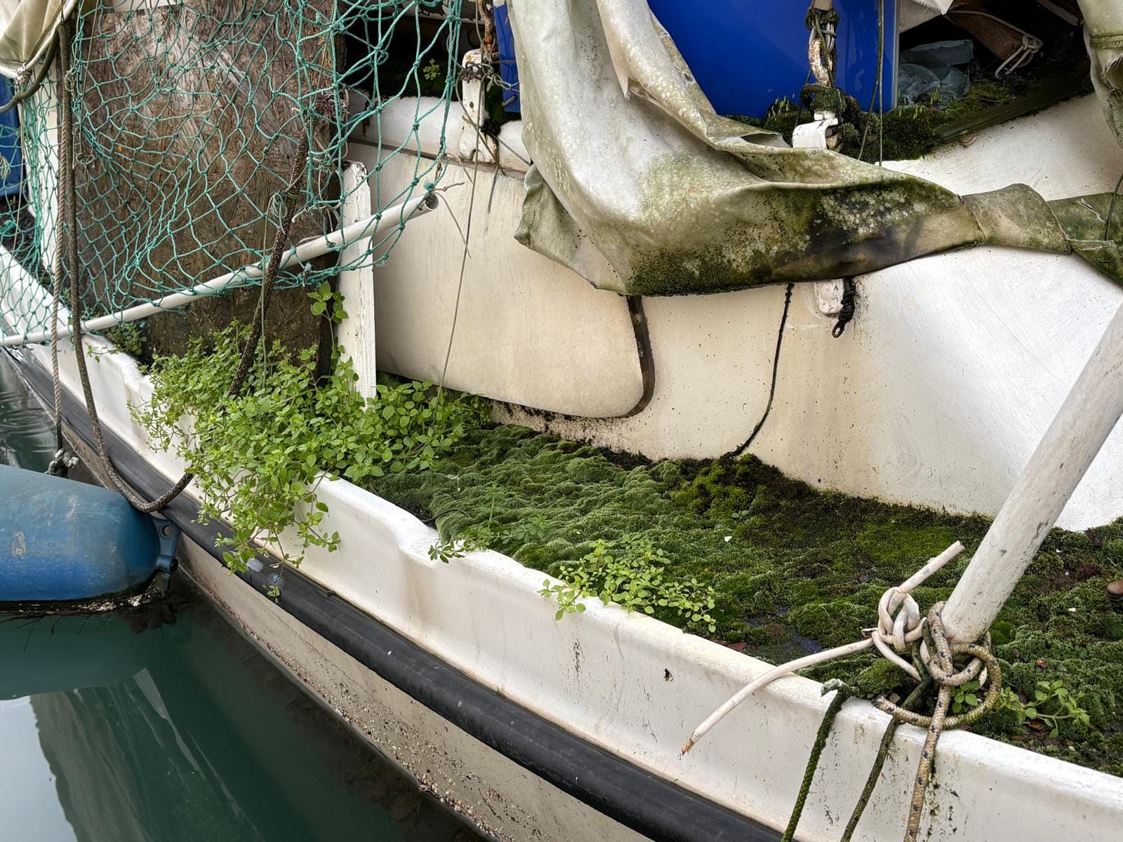 'PIRATI IZ TROGIRA' Fešta od brodova: "Jedan je potonulu brodicu zamotao u najlon, drugi uzgaja mahovinu"