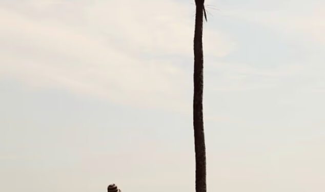 Zvijezda Made In Chelsea Andy Jordan otkriva da je supruga Alexandra trudna s njihovim prvim djetetom dok dijeli slatku fotografiju kvrga iz suncem okupane Šri Lanke