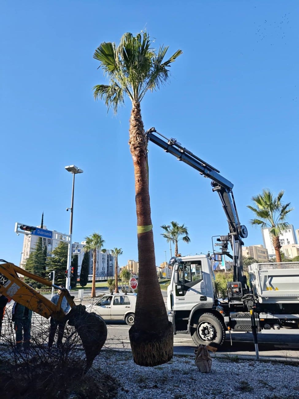 palme ulaz u split zng  1