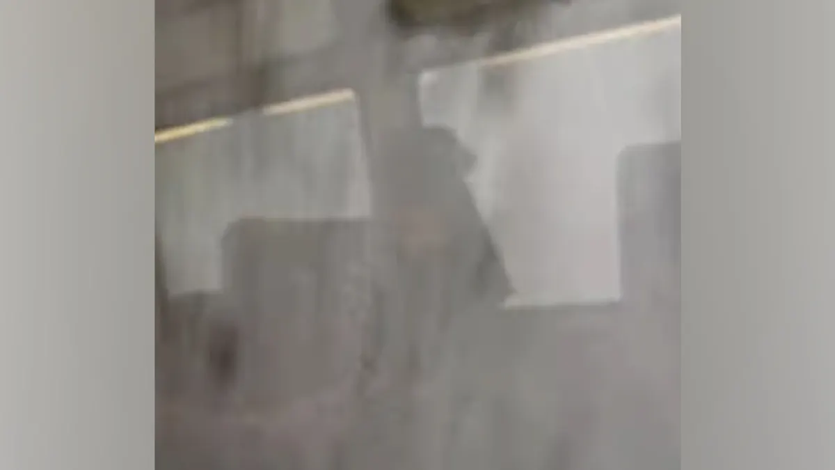 Žena je snimila kako lavina udara u vlak.