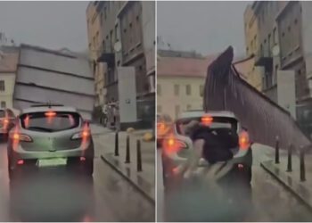 Zagrepčanin jedva izvukao živu glavu dok je hodao ulicom: ‘Pa neka govore da smo mimoze’
