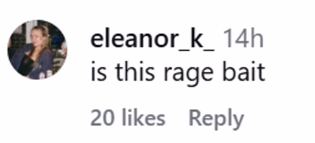 Neki su komentatori bili zbunjeni novom objavom, ostavljajući primjedbe poput: 'je li ovo mamac za bijes', dok su drugi izrazili zabrinutost za dobrobit štenaca