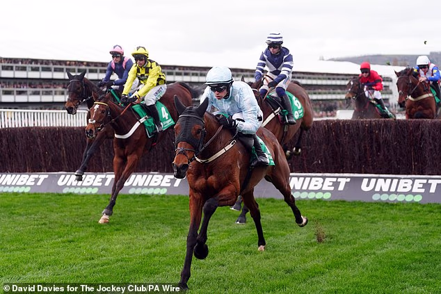 Danny Mullins je bio čist nakon 7/1 udarca Kargesea i uznemirio favorite u Arkleu