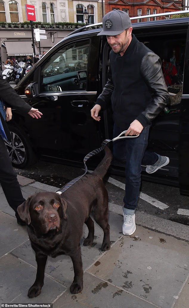 Voditeljice I'm A Celeb, 50, i Lisa, 49, ušle su u gorku bitku oko skrbništva nad Hurleyjem nakon razlaza 2018. – no ponovno su se susrele prošlog mjeseca kada ga je veterinar morao ubiti