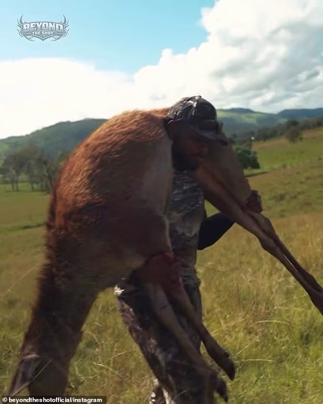 Snimka prikazuje cijeli proces od praćenja životinja do pripreme i kuhanja ubranog mesa
