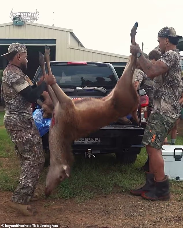 Grafičke slike nakon lova pojavljuju se kao dio pogleda iza scene na stvarnost lovačke prakse