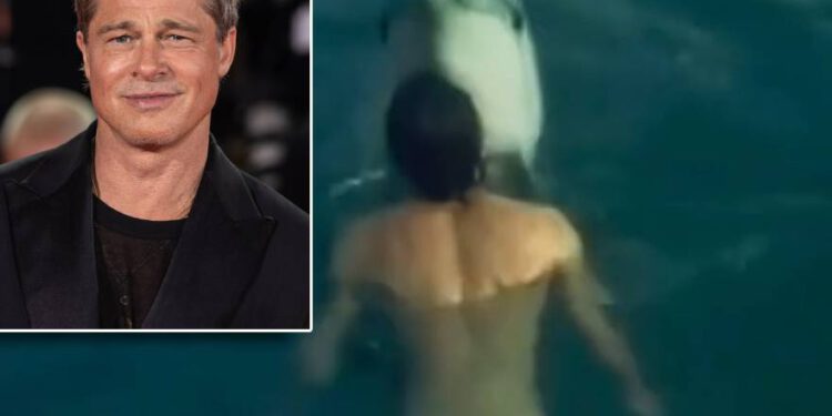 Brad Pitt svoj je prvi film snimio na jadranskoj obali, ali dupin “Joca” bio je popularniji i od njega!