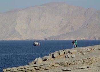 Čiji brodovi prolaze kroz ‘selektivno’ otvoreni Hormuz