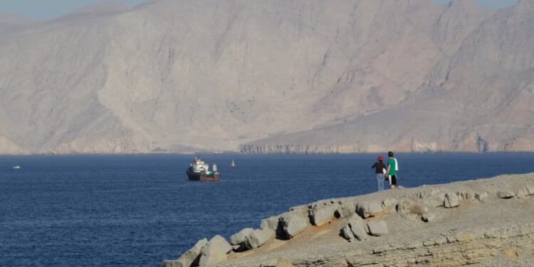 Čiji brodovi prolaze kroz ‘selektivno’ otvoreni Hormuz