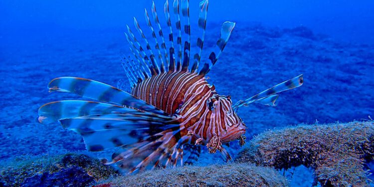 Djelovati moramo sada, jer bi posljedice mogle biti teške!