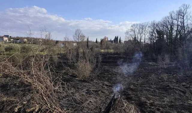 FOTO Požar u Donjim Hamzićima kod Čitluka, kuće i maslinik spašeni u zadnji trenutak