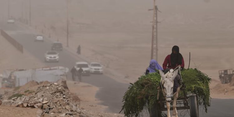 Gaza’s new border: The farmers who can’t get to their land beyond Israel’s ‘yellow line’