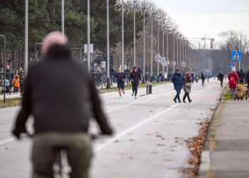 Hrvati u panici javljaju, počela najezda krpelja i to pazite gdje: Evo koje bolesti šire i kako se zaštititi