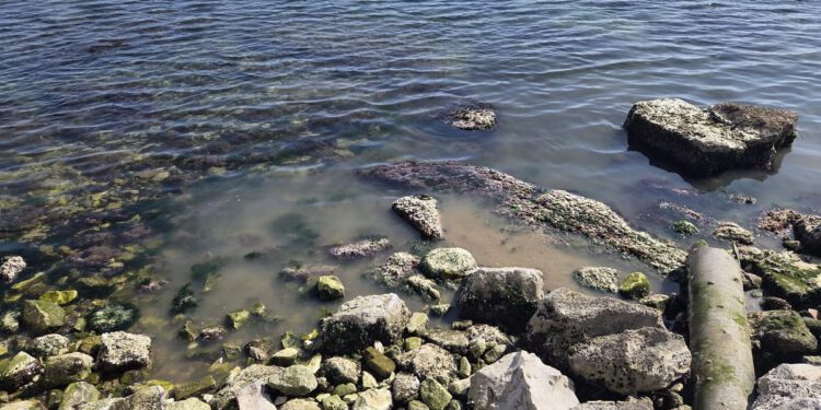 JADRAN NA ČEKANJU Dok turizam cvjeta, trećina ispusta i dalje bljuje sirovu kanalizaciju u more