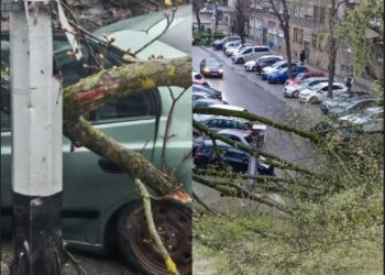 Kaos u Zagrebu, vjetar ruši sve pred sobom: DHMZ izdao crveno upozorenje