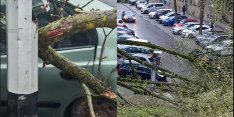 Kaos u Zagrebu, vjetar ruši sve pred sobom: DHMZ izdao crveno upozorenje