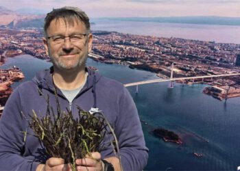 NLM Solin: “Dok se grade tuneli i mostovi, grad Solin izgleda kao da stoji po strani. A gradonačelnik? Sezona šparoga je kratka”