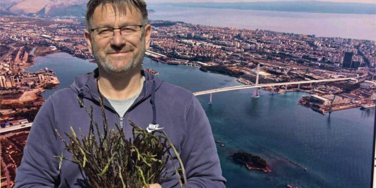 NLM Solin: “Dok se grade tuneli i mostovi, grad Solin izgleda kao da stoji po strani. A gradonačelnik? Sezona šparoga je kratka”