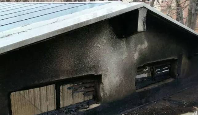 Na Venecijanskom bijenalu zapalio se paviljon Srbije: “Vjetar ne pomaže”