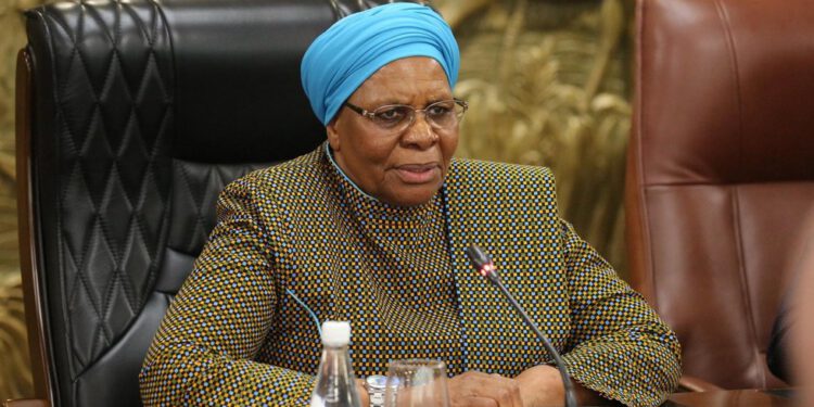 Namibija je odlučna produbiti veze s Rusijom – predsjednik — RT Africa