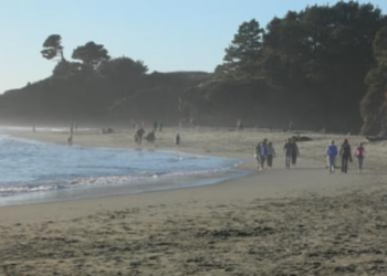 Napad morskog psa kod Kalifornije ostavio surfera (39) s ozljedama obje noge i prisilio zatvaranje plaže