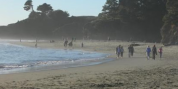 Napad morskog psa kod Kalifornije ostavio surfera (39) s ozljedama obje noge i prisilio zatvaranje plaže