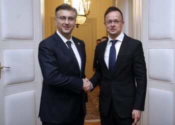 Napadao je Hrvatsku, a sad je zatečen u nedjelu: ‘Jesam, zvao sam ga’