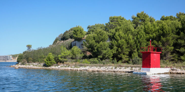 Neobični gosti hrle na naš otok, preplivali su dio puta: Prizori su filmski i nestvarni
