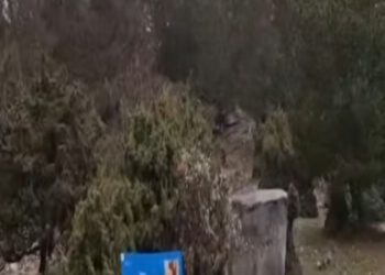 Nestvarni prizori na hrvatskom otoku: Snimke preplavile društvene mreže