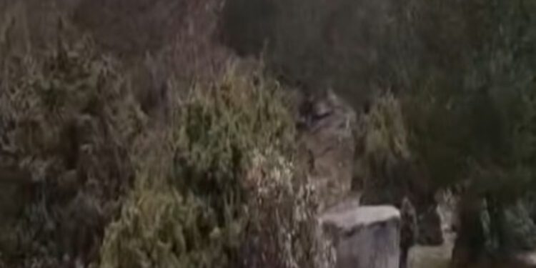 Nestvarni prizori na hrvatskom otoku: Snimke preplavile društvene mreže