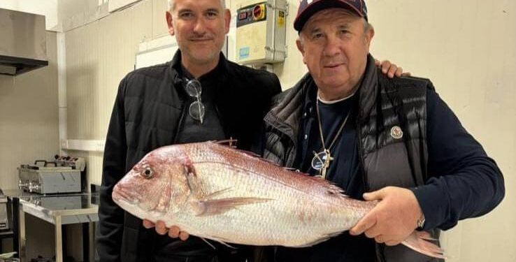 Nisam vam ni Božić mogao čestitati, zatvorilo me u buvaru