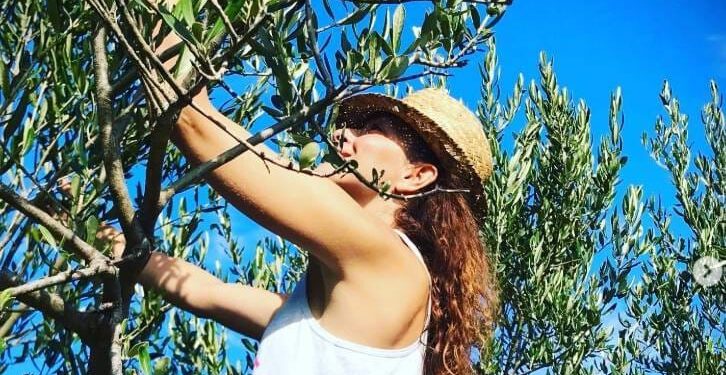 Noćnjak 2026. – Evo tko su najuspješniji maslinari i koja su ulja proglašena najboljima: “Nagrađena i Zrinka Cvitešić”