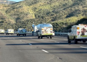 Oko 700 pasa i mačaka spašeno u velikoj akciji zaštite životinja u okrugu LA