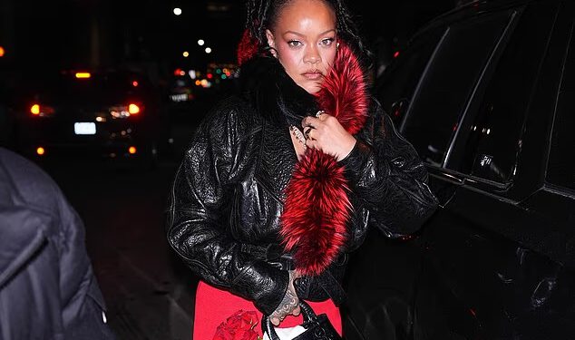 Osumnjičenik za pucnjavu u Rihannu izjasnio se da nije kriv za ispaljivanje 20 metaka na kuću pjevačice dok se pojavljuju zastrašujući detalji napada