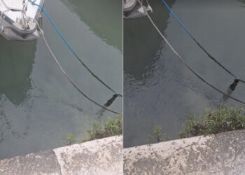 Ovo je razlog zašto je more na Batali smeđe, a područje zaudara