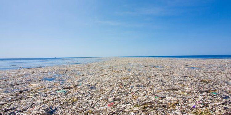 Plastika koja desetljećima pluta Pacifikom “stvorila” novi život