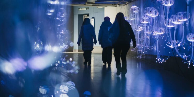 Pothodnik na Kvatriću postao podmorje