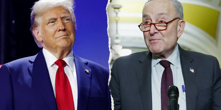 Schumer naziva Trumpov plan da rasporedi ICE agente u američke zračne luke ‘impulzivnim’