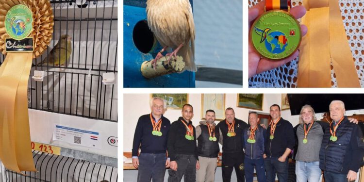 Sinjski ptičari među najboljima na svijetu: Na ornitološkom prvenstvu u Belgiji osvojili 20 medalja