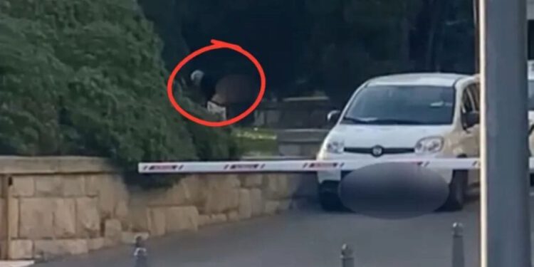 Snimka iz Splita zgrozila građane. Usred dana obavio veliku nuždu na ulici