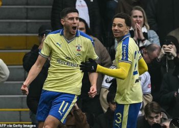 Southampton usmjerava duh svojih legendi FA kupa nakon 50 godina kako bi uznemirio Fulham, piše MATT BARLOW – dok je momčad Premier lige izviždana nakon brutalne VAR intervencije