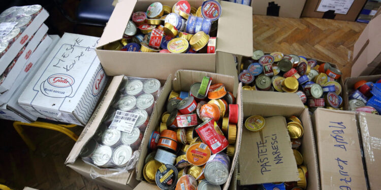 Što sve treba imati u kompletu za preživljavanje ako dođe do rata: Mogu vam spasiti život