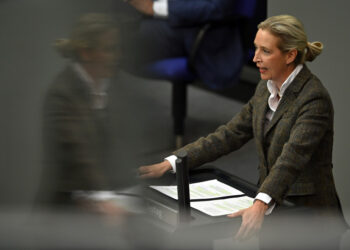 Supredsjedatelj AfD-a poziva na prestanak financiranja ‘korumpirane’ Ukrajine — RT World News